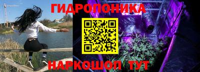 spice Будённовск