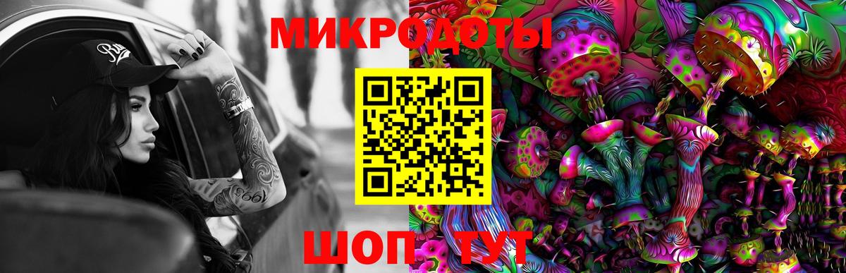 Псилоцибиновые грибы Cubensis Родники