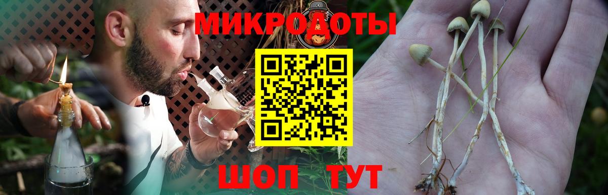 Родники  Псилоцибиновые грибы MAGIC MUSHROOMS  Вход с VPN 